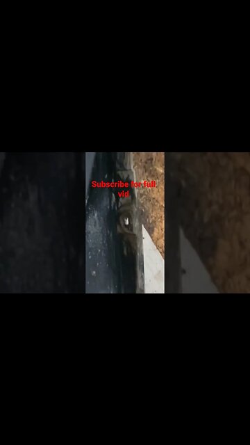 Rust trap! for rocker panels #shorts #car