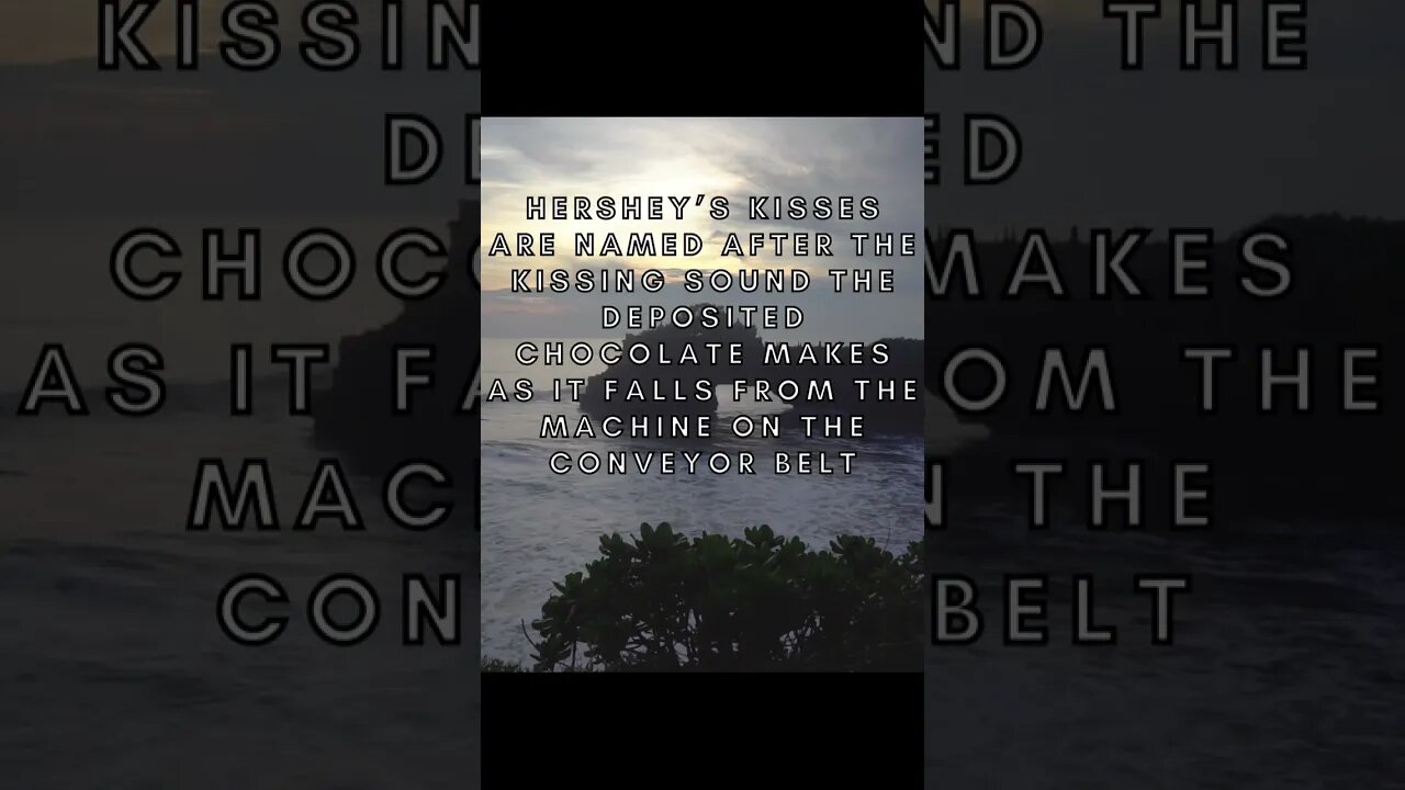 RANDOM FACTS! #shorts #facts #mindblowingfacts #viralshorts #fyp #life