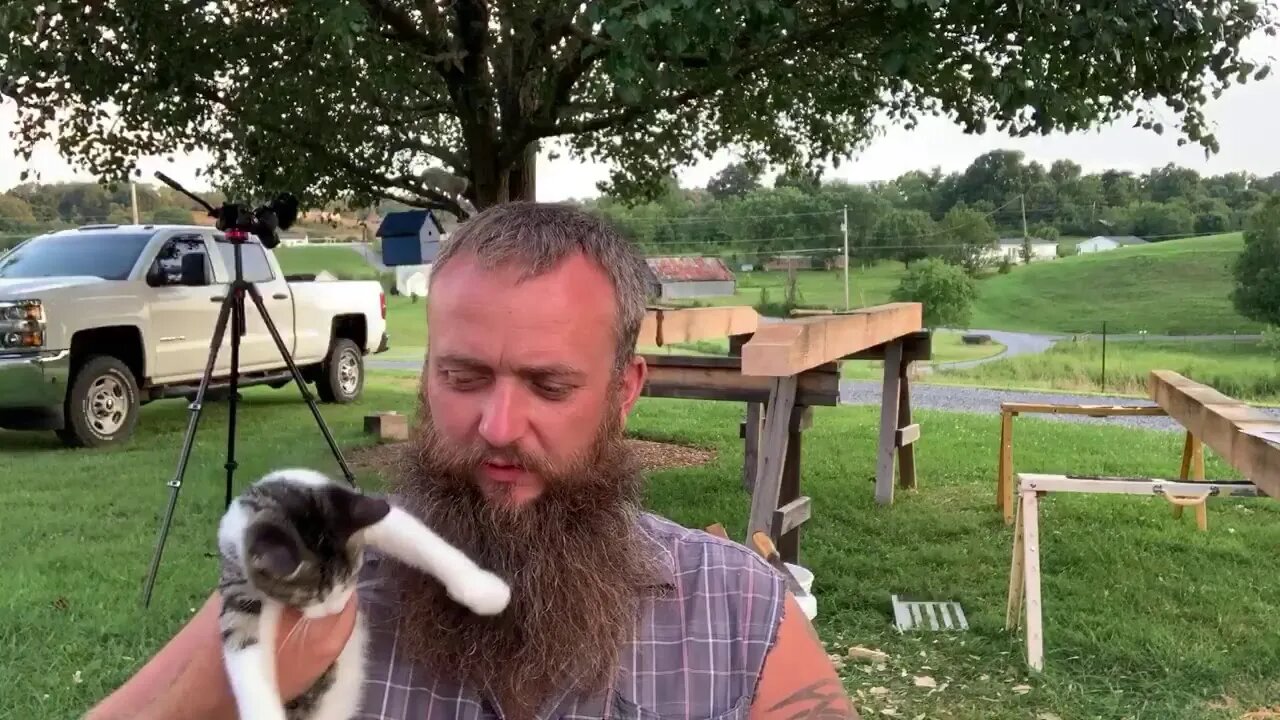 Live From The Sawmill