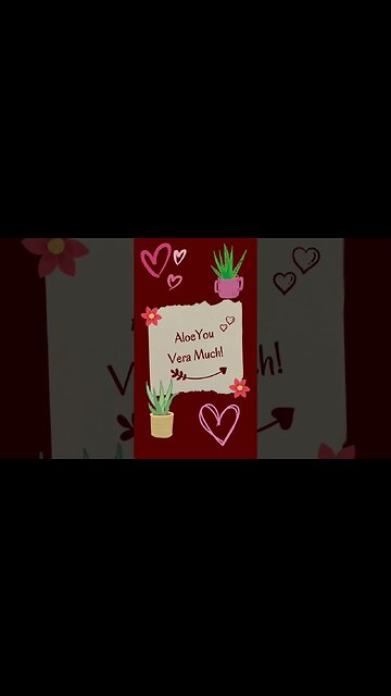 Valentine’s Countdown Day 5 | Succulents Instead of Flowers W/ Witty Puns #shorts