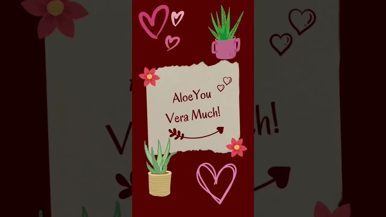 Valentine’s Countdown Day 5 | Succulents Instead of Flowers W/ Witty Puns #shorts