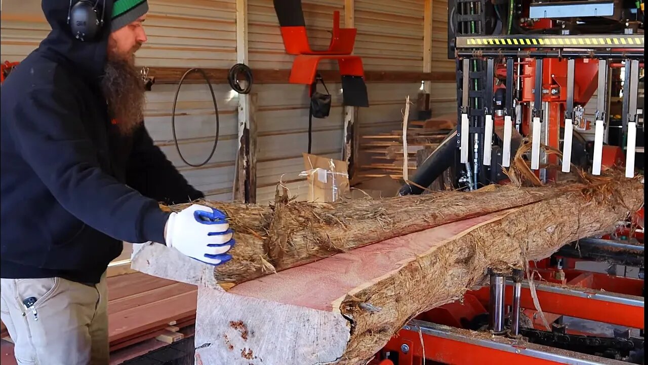 Something From Nothing, Sawing A Log I Saved From Firewood