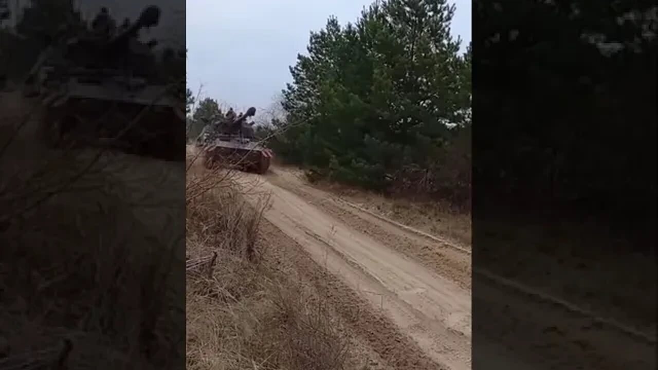 Italian made self-propelled howitzer’s in Ukraine