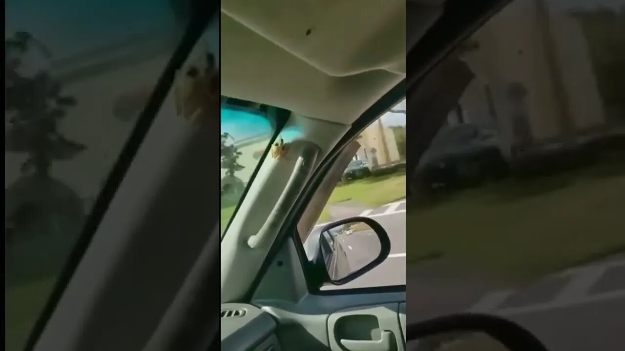 Bug jumps toward driver