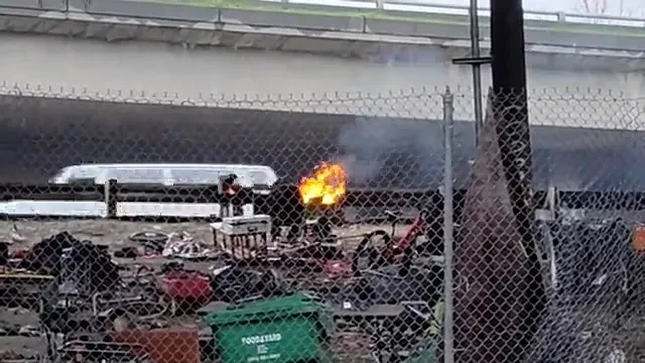 Express Lane BBQ. [Seattle, WA]