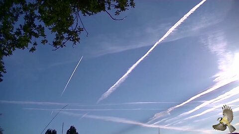 Chemtrails - Smugi chemiczne #246