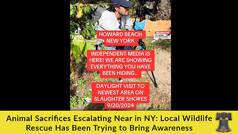 Animal Sacrifices Escalating Near in NY: Local Wildlife Rescue Has Been Trying to Bring Awareness