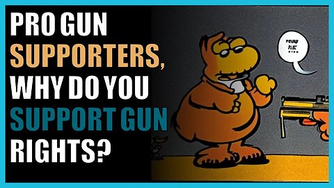 Pro gun supporters, why do you support gun rights?