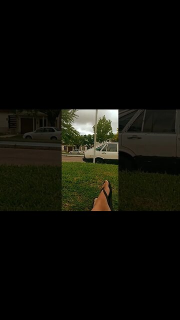 Lindo Domingo para salir a pasear por la ciudad a caballo #tacuarembó #uruguay (29/01/2023)