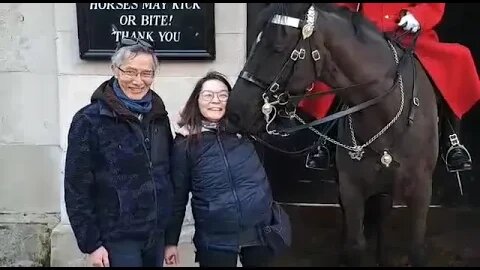 Horse gives a cuddle to the tourist #horseguardsparade