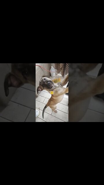 That's right u on YouTube Angel #short