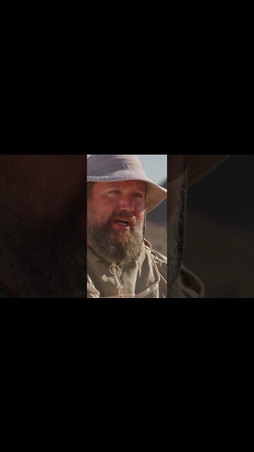 🐝 beekeeping #shorts