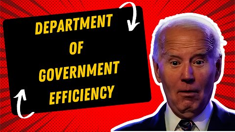 Department of Government Efficiency