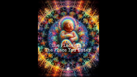 The Placenta & Umbilical Cord~The Place🌟You Enter🌳It’s more than Physiological. It’s a REMINDER of our TRUE Origins & INNER Connectedness of ALL Life💫