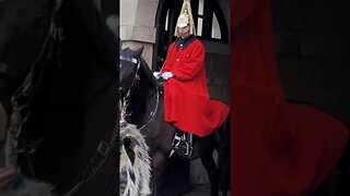 GET AWAY FROM MY HORSE KINGS GUARD TELLS TOURIST #horseguardsparade