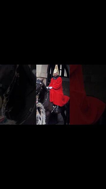 GET AWAY FROM MY HORSE KINGS GUARD TELLS TOURIST #horseguardsparade