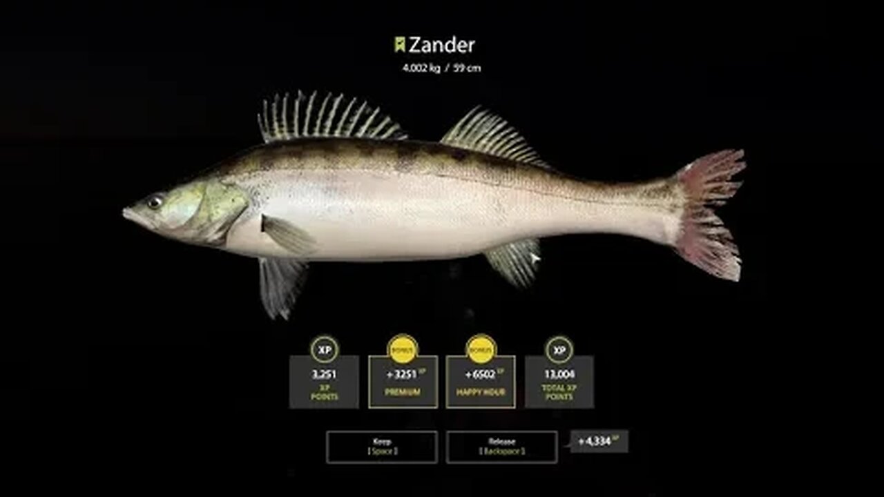 Russian Fishing 4 Ladoga Archipelago Zander 4 . 002 Kg