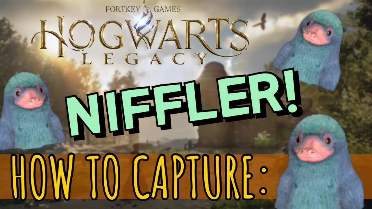 ⚡Where to Find and Capture the Niffler in Hogwarts Legacy⚡