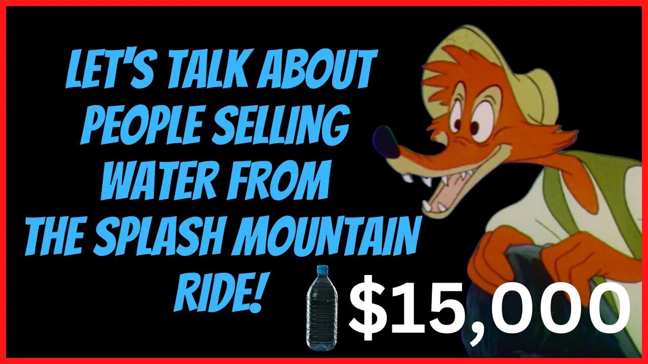 LET'S TALK ABOUT PEOPLE SELLING WATER FROM THE SPLASH MOUNTAIN RIDE!