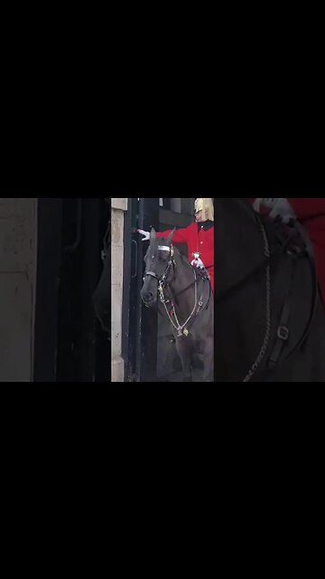 Misunderstanding Guard thinks he is being set up for click bate presses the alarm button #london