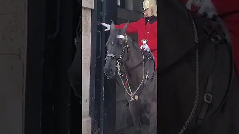 Misunderstanding Guard thinks he is being set up for click bate presses the alarm button #london