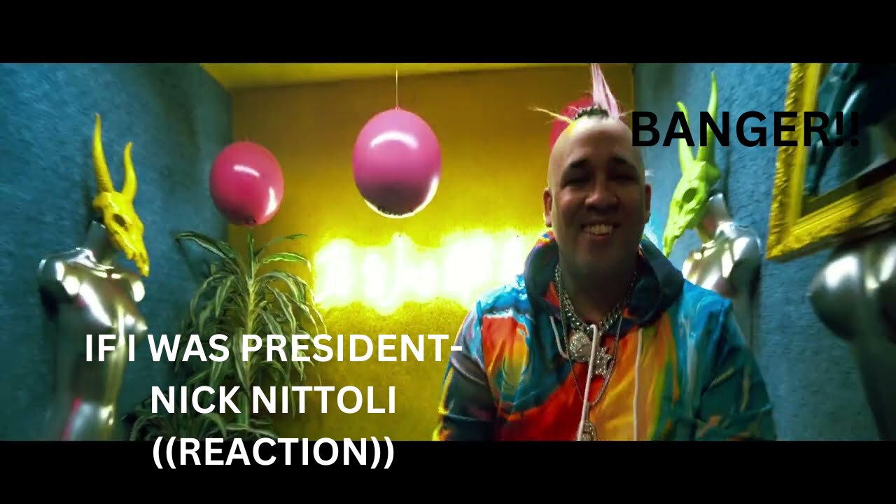 IF I WAS PRESIDENT | @nicknittoli | ((REACTION))