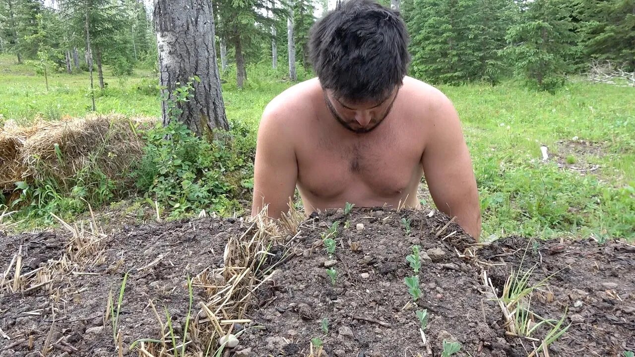 Naked Gardening with Mosquitos: Being one with Nature
