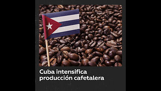 Cuba intensifica producción cafetalera mientras crecen precios en el mundo