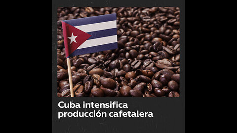 Cuba intensifica producción cafetalera mientras crecen precios en el mundo