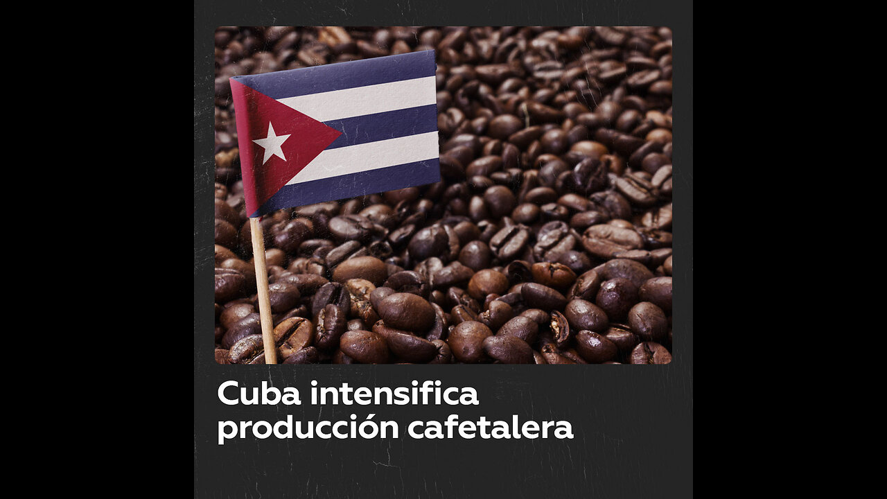 Cuba intensifica producción cafetalera mientras crecen precios en el mundo