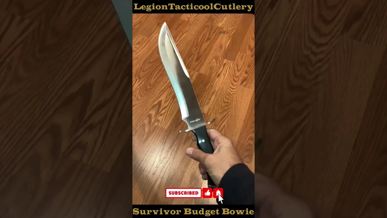 Survivor Budget Bowie