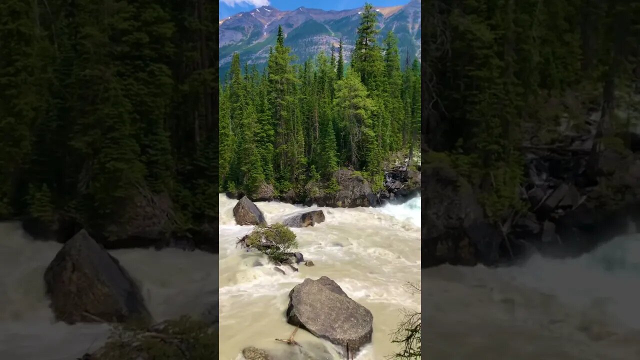 Where the two rivers meet#britishcolumbia #yohonationalpark