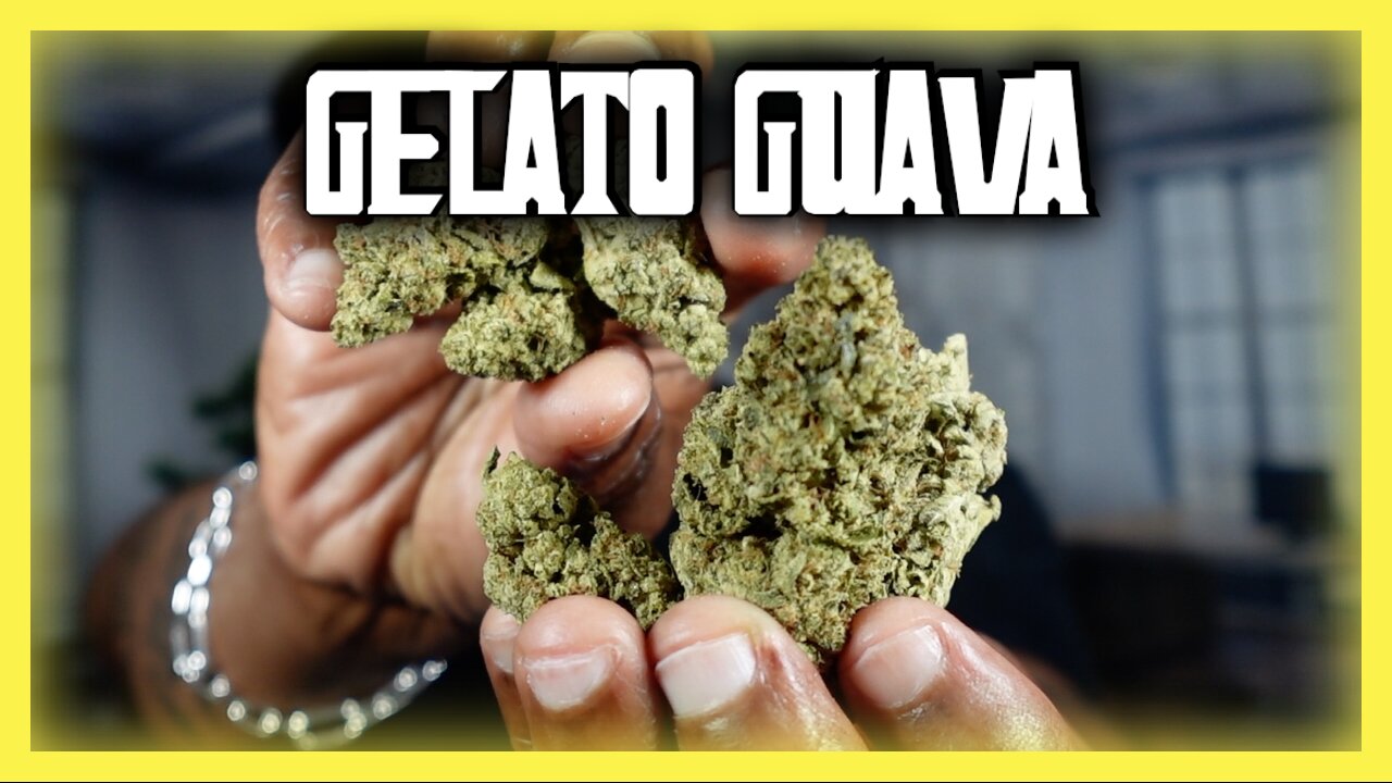 THCa Guava Gelato | JK DISTRO