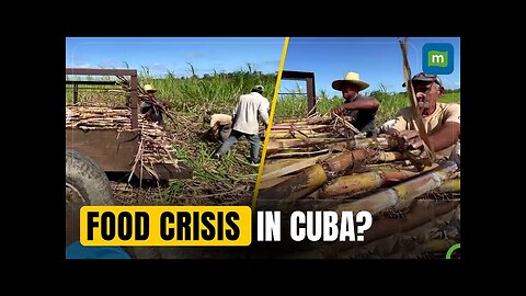 Cuba’s Sugar Output Hits 150-Year Low, Reflecting Agriculture and Economic Woes | N18G