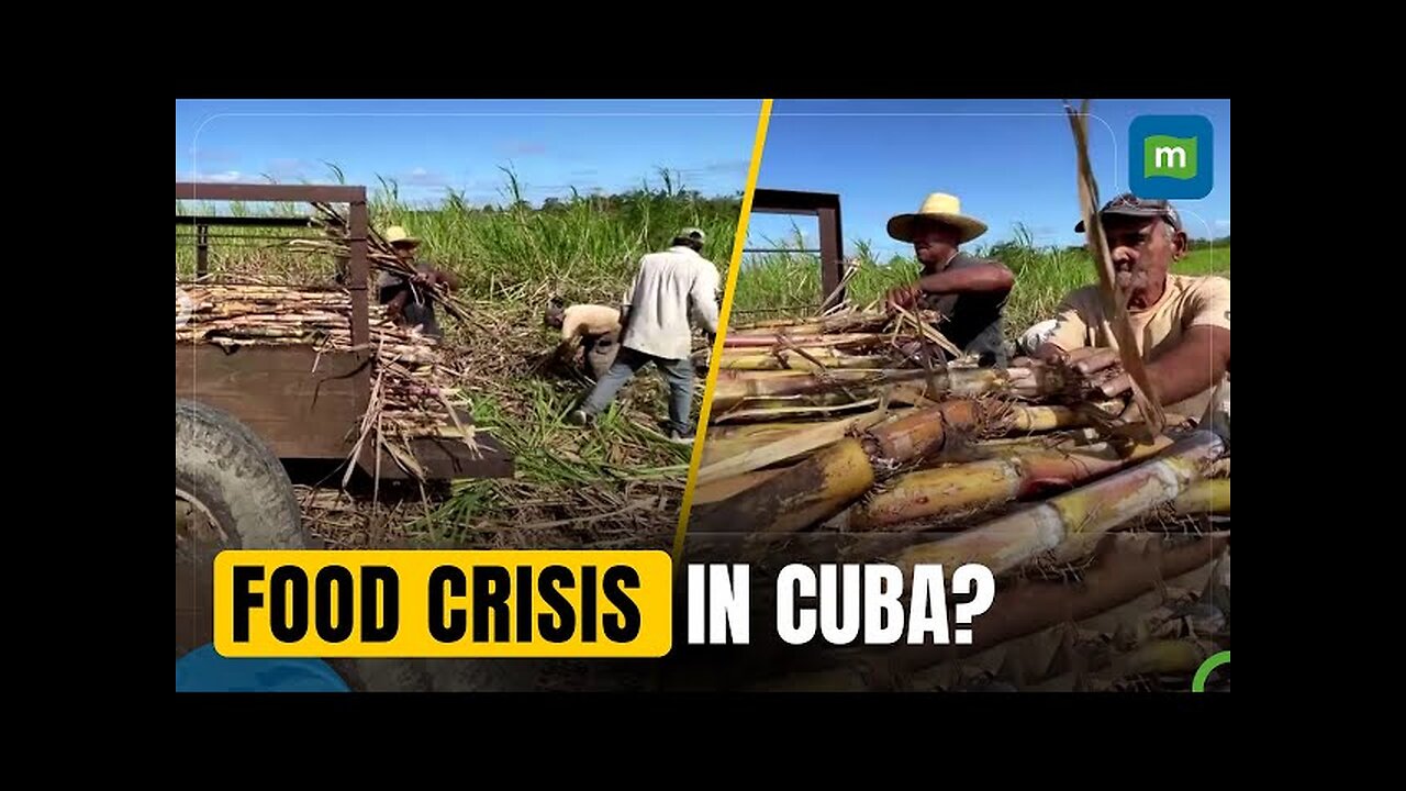 Cuba’s Sugar Output Hits 150-Year Low, Reflecting Agriculture and Economic Woes | N18G