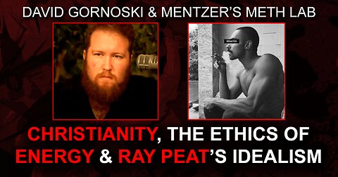 Christianity, the Ethics of Energy, and Ray Peat’s Idealism