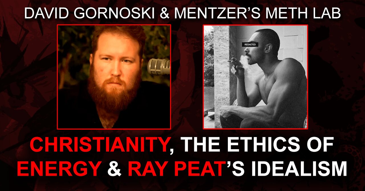 Christianity, the Ethics of Energy, and Ray Peat’s Idealism