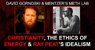 Christianity, the Ethics of Energy, and Ray Peat’s Idealism