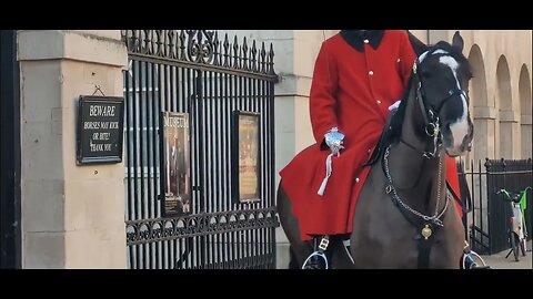 Now that's a moustache changing of the Guards #horseguardsparade