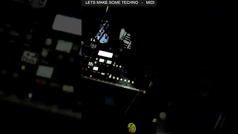 Tommy Plays Techno | 002 #acid #tekno #live #acidtechno #cat #paws on random key during live set