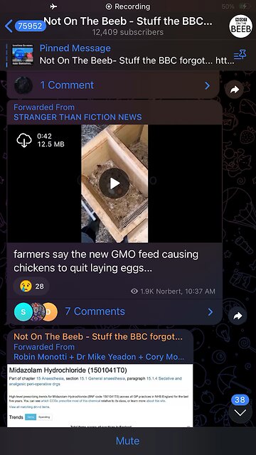 Farmers : there is something in chicken food: hen dont lay eggs