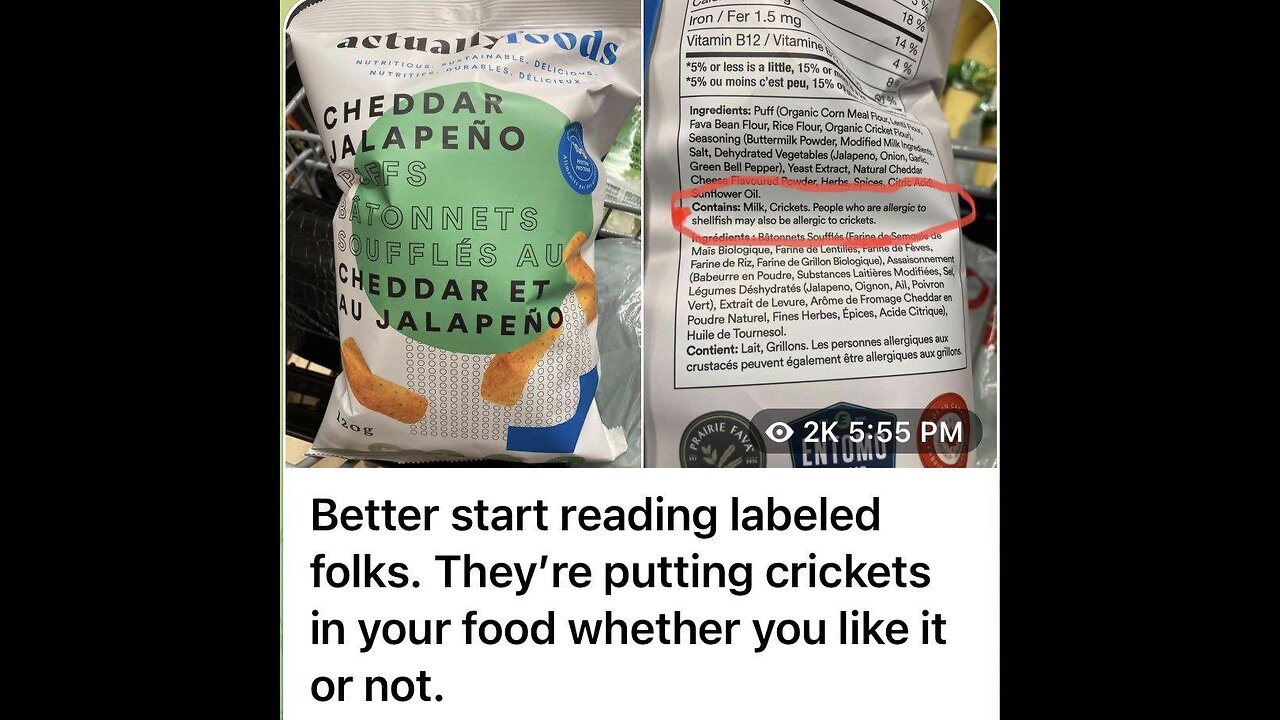 Our Food is Plastic, Made of Bugs, We Have Been Programed. Watch The Water!