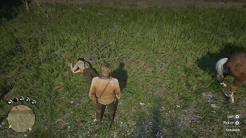 RDR2 - Horse kicks guy in the face