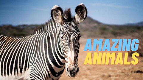 Amazing animals.