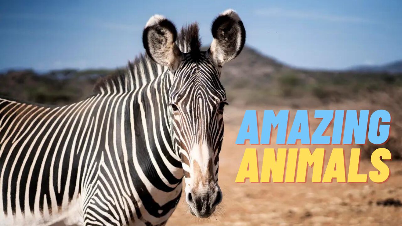 Amazing animals.