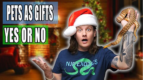 Should Reptiles Be Given as GIFTS?!