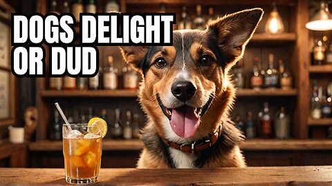 Booze Dogs Review: Honest Review and Taste Test