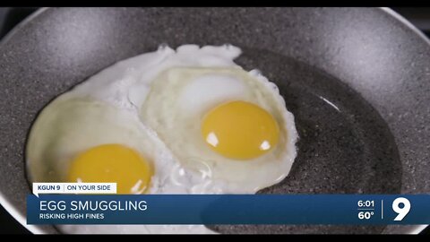 CBP: Don’t sneak in eggs from Mexico