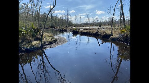 Ortega River , Florida