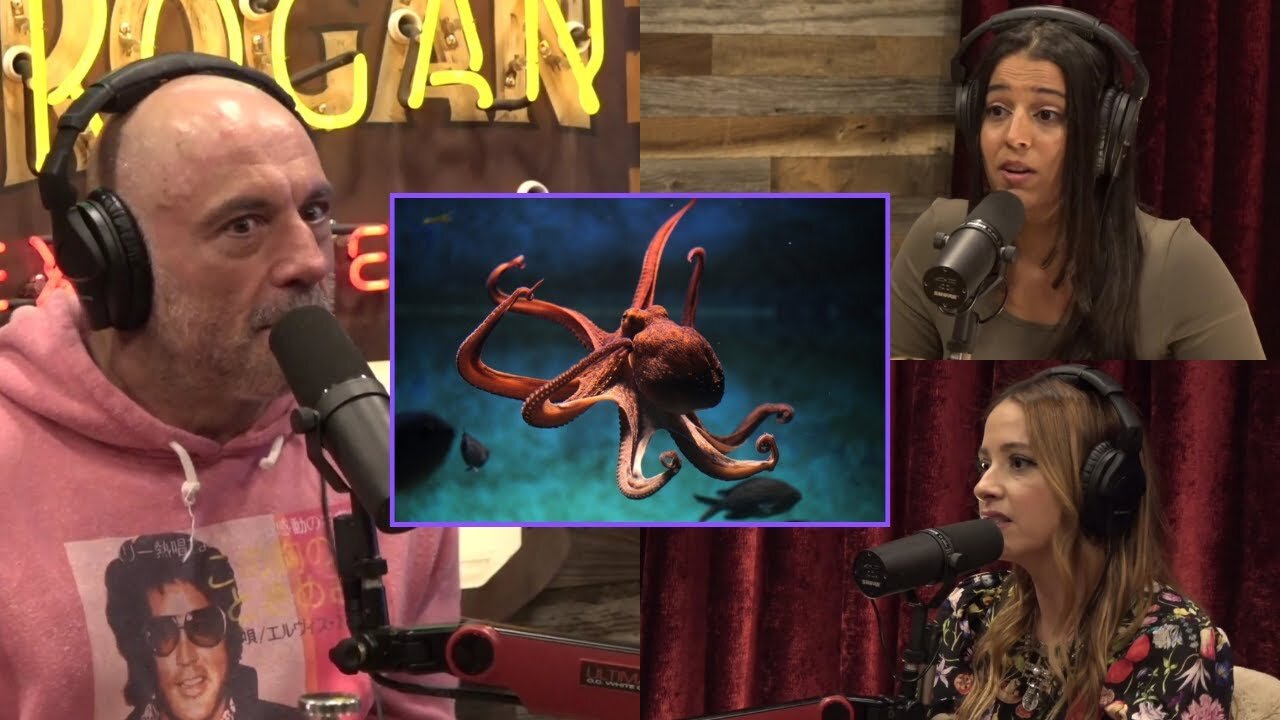 Joe Rogan: World Deadliest Octopus